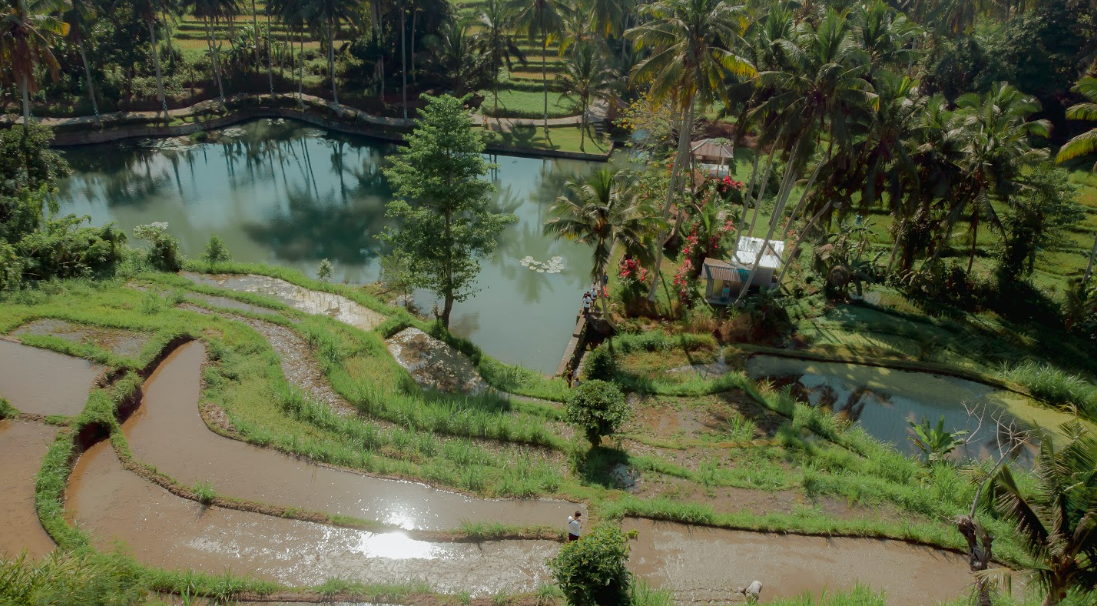 Tabanan, Bali — Rice Terraces • Hidden Nature • Authentic Bali