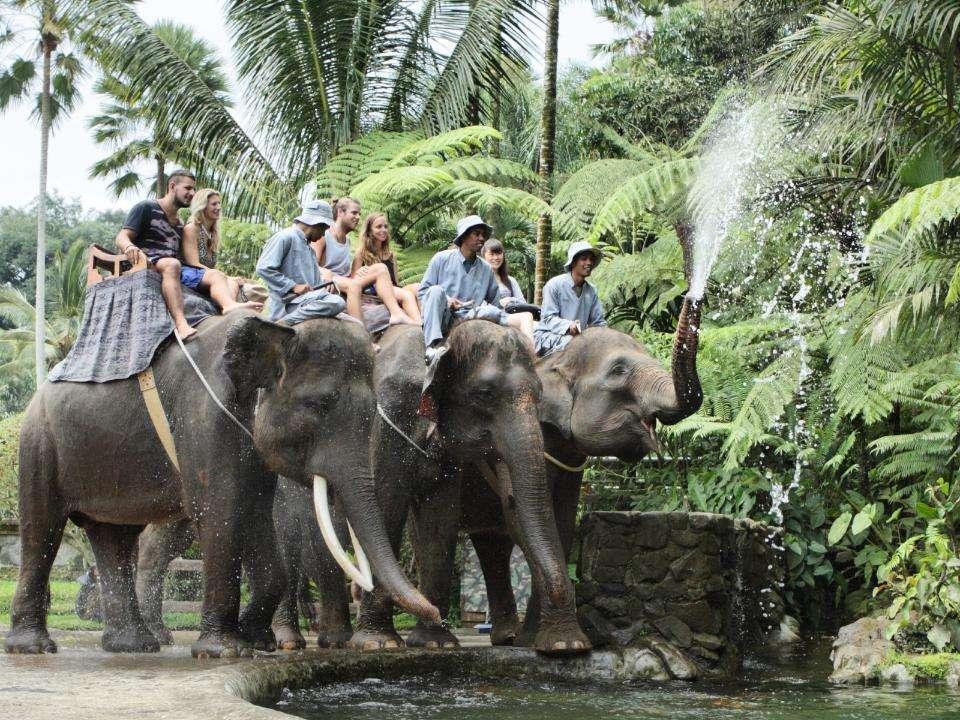 Elephant Safari Park Experience in Ubud